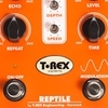 T-REX Reptile