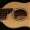 Washburn Rover Travel Guitar