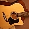 Walden D350CE i Walden CN570CE