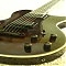 Washburn WI66ANC